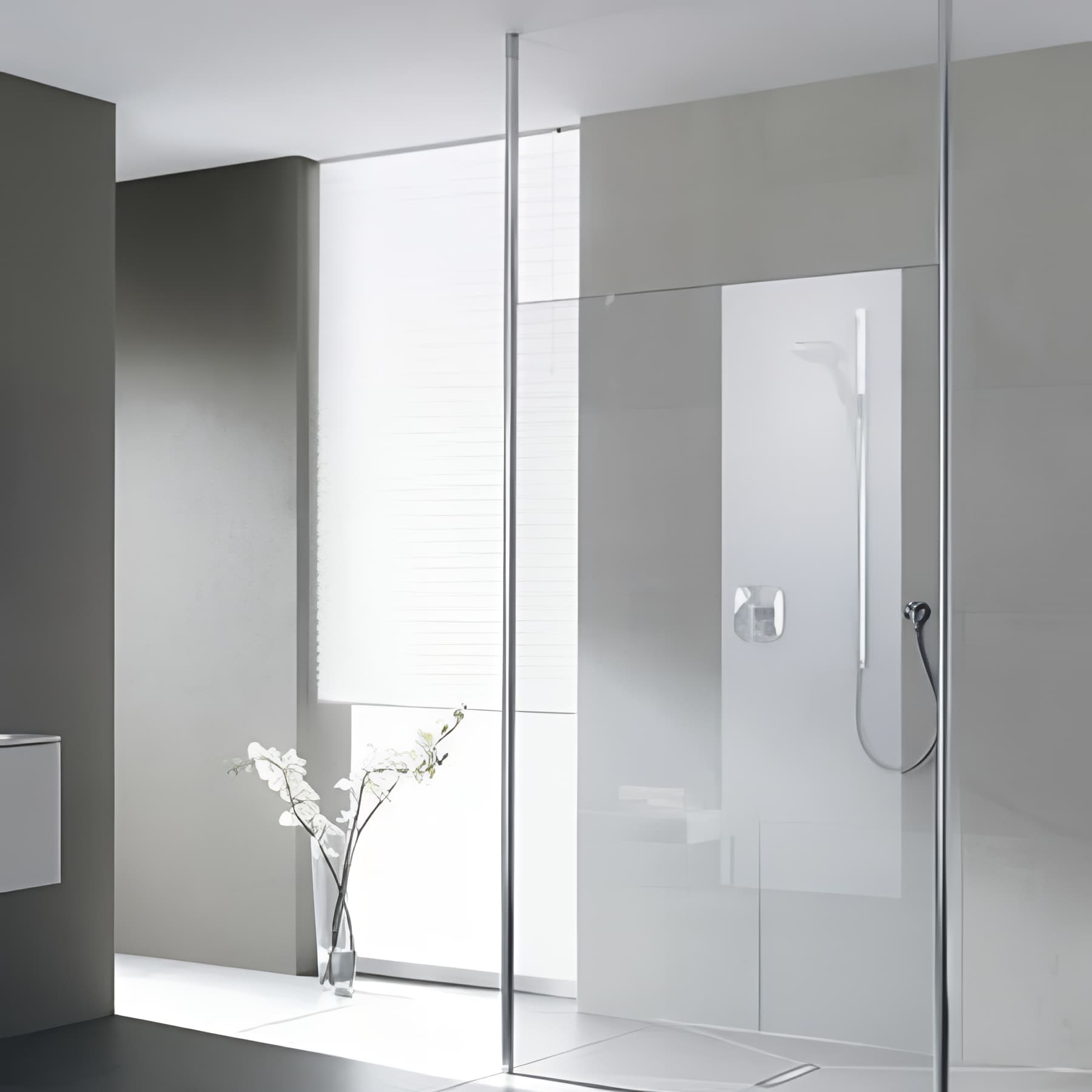 Paroi de douche walk-in-SHOWER largeur 120 cm hauteur 200 cm profilé argent poli verre clair